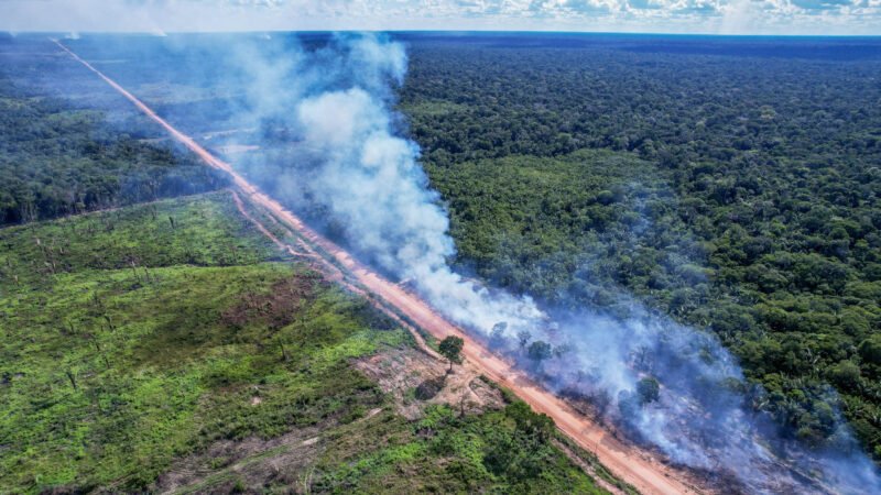 BR-319: pavimentação ameaça meta de desmatamento zero do Brasil às vésperas da COP30
