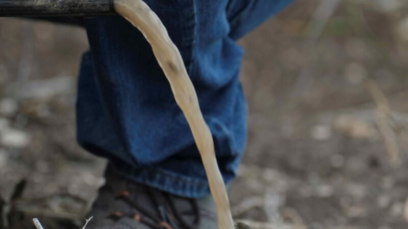 Lavagem incorreta do sistema de gotejamento pode afetar a produtividade