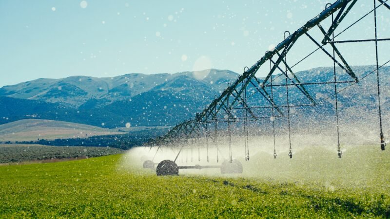 Multinacional austríaca lança o primeiro hub e departamento de Engenharia de Aplicação e Sistemas Digitais no Brasil