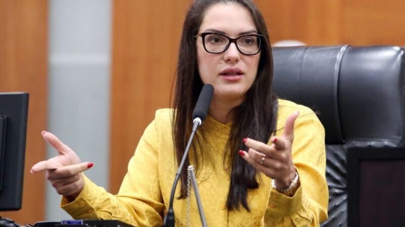 ‘Farei alianças necessárias para minha vitória’, frisa Janaina sobre disputa ao Senado