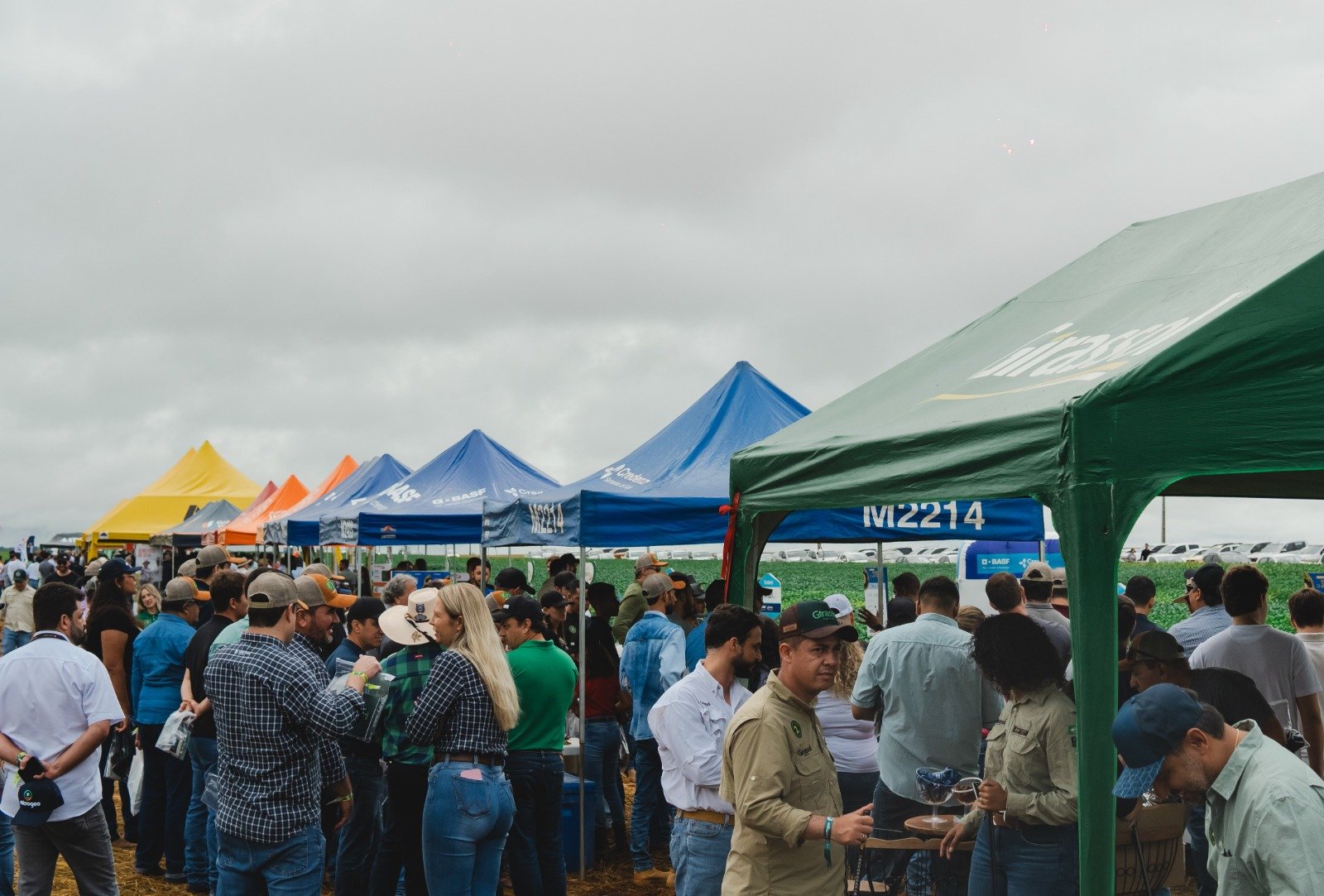 Mato Grosso inicia período de grandes eventos técnicos em campo; na região Oeste, Deciolândia vai receber a 13ª edição do PA Summit