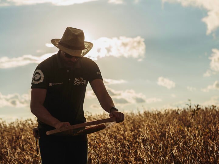 Rally da Safra volta ao Mato Grosso para reavaliar evolução das lavouras de soja