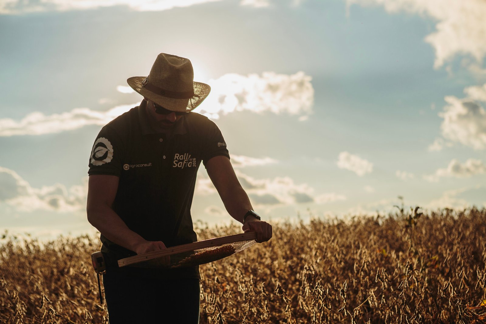 Rally da Safra volta ao Mato Grosso para reavaliar evolução das lavouras de soja