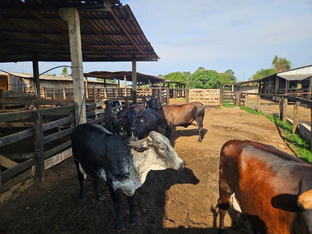 Seaf realiza reuniões sobre o Programa de Melhoramento Genético do Rebanho Leiteiro em 17 municípios