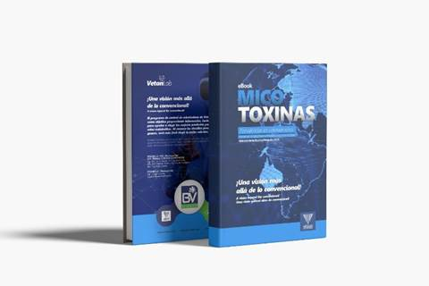 Vetanco analisa 32 mil amostras de grãos e comprova cenário crítico de micotoxinas na América Latina