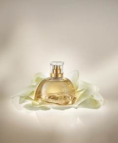 Natura Aura Alba é eleito o melhor perfume feminino do Brasil no Fragrantica Awards 2025