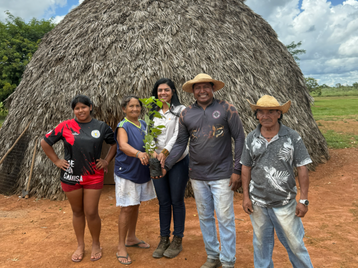 Uisa destina mais de 4 mil mudas nativas e frutíferas para plantio em terras indígenas