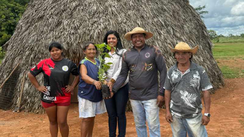 Uisa destina mais de 4 mil mudas nativas e frutíferas para plantio em terras indígenas