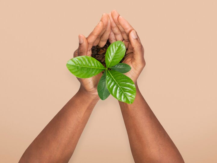 Quando conservar vidas também é uma decisão de negócios